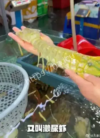 店主病逝家属回老家